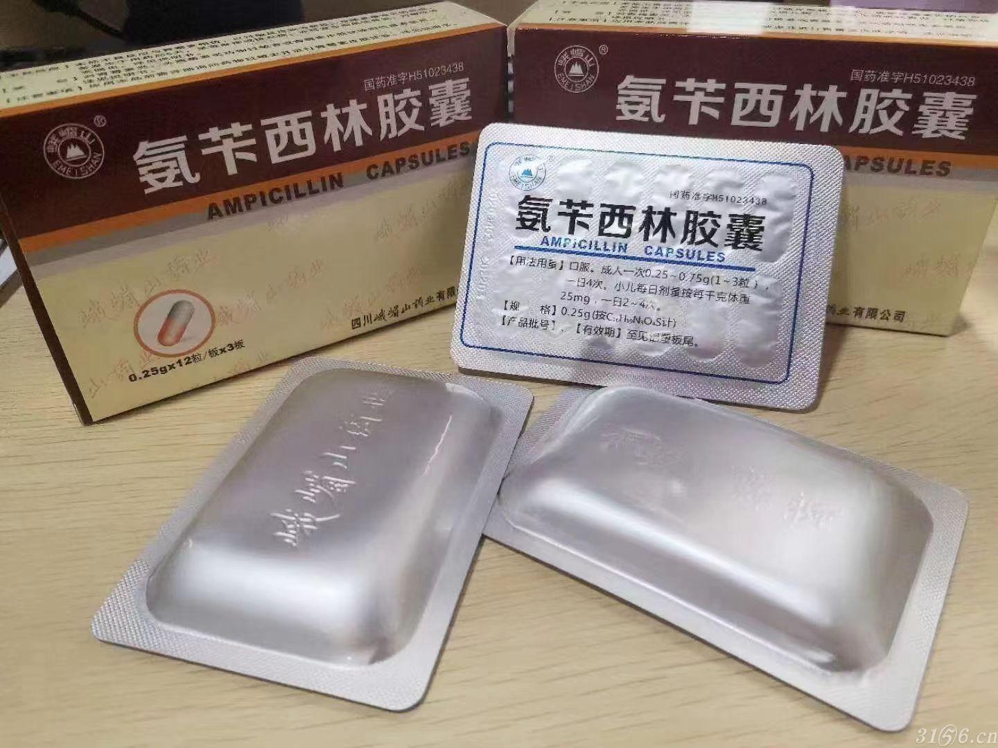 氨芐西林膠囊